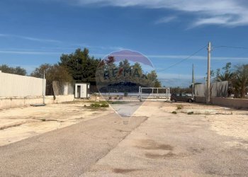 Non correlato - Capannone Complanare Ovest San Giorgio, Bari - foto 6