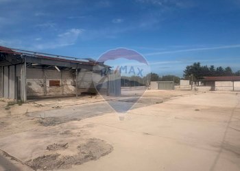 Terrazza - Capannone Complanare Ovest San Giorgio, Bari - foto 20