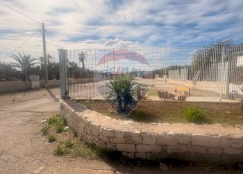 Giardino - Capannone Complanare Ovest San Giorgio, Bari - foto 22