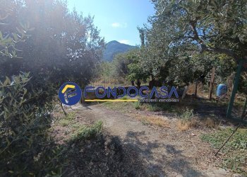 Foto 3 - Villa Cerreto Sannita - foto 3