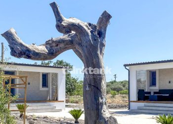 Foto 21 - Rustico contrada buonivini, Noto - foto 21