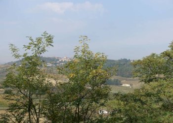 Vista - Rustico via Giacomo Bove, Maranzana - foto 24