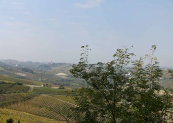 Vista - Rustico via Giacomo Bove, Maranzana - foto 25