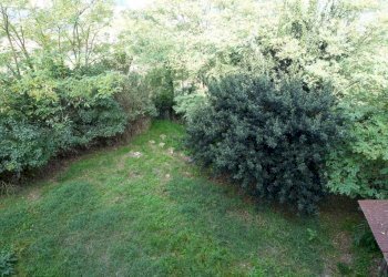 Terreno - Rustico via Giacomo Bove, Maranzana - foto 26