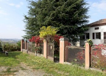 Terreno - Rustico via Giacomo Bove, Maranzana - foto 30