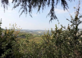 Vista - Rustico via Giacomo Bove, Maranzana - foto 37