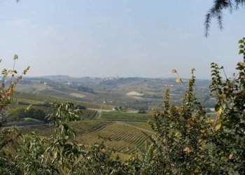 Vista - Rustico via Giacomo Bove, Maranzana - foto 38