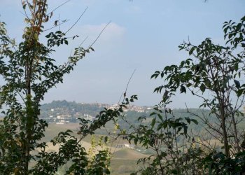 Vista - Rustico via Giacomo Bove, Maranzana - foto 39