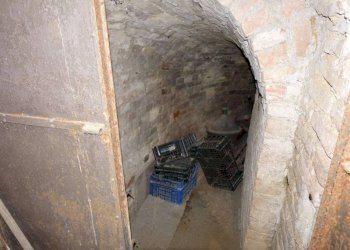 Cantina - Rustico via Giacomo Bove, Maranzana - foto 43