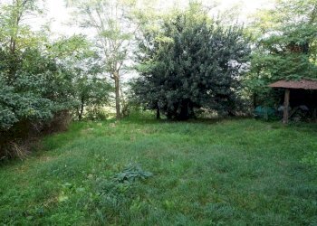 Terreno - Rustico via Giacomo Bove, Maranzana - foto 48