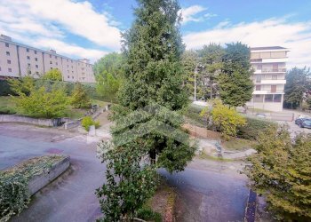 Foto 11 - Villa a Schiera Via Carducci
 
15, Campobasso - foto 11