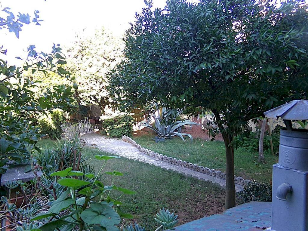 Giardino - Villa viale delle Cerase Marine, Anzio - foto 3