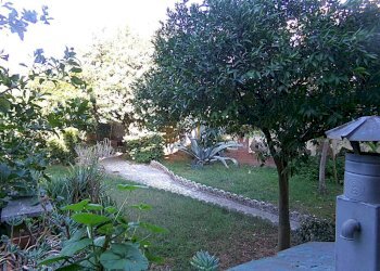 Giardino - Villa viale delle Cerase Marine, Anzio - foto 3
