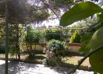 Giardino - Villa viale delle Cerase Marine, 5, Anzio - foto 16