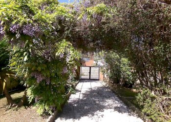 Giardino - Villa viale delle Cerase Marine, 5, Anzio - foto 17