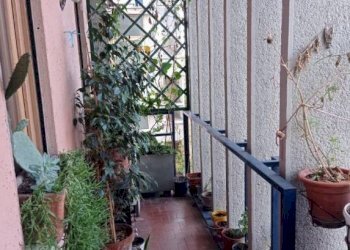 Balcone - Quadrilocale via Romolo Balzani, 44, Roma - foto 20