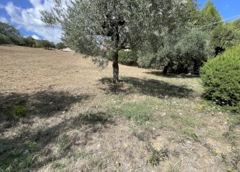 terreno - Terreno edificabile Contrada Colle Marconi 73, Bucchianico - foto 4