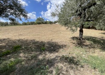 terreno - Terreno edificabile Contrada Colle Marconi 73, Bucchianico - foto 6