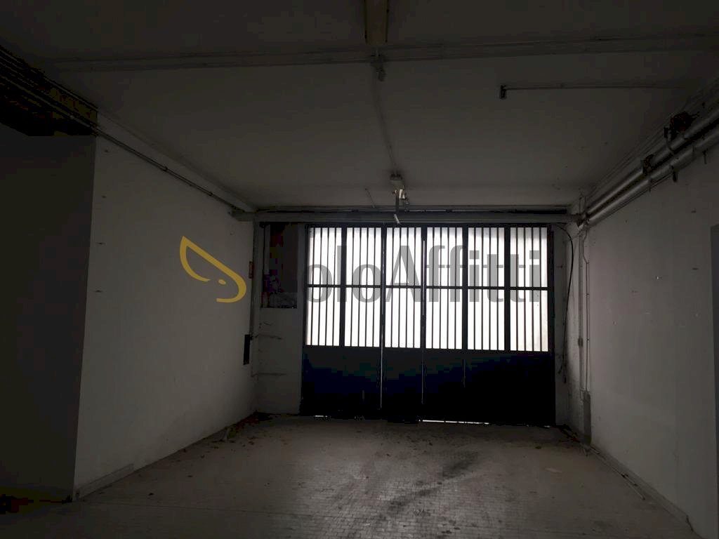 ingresso carraio - Warehouse Strada Cambiano 220, Chieri - photo 2