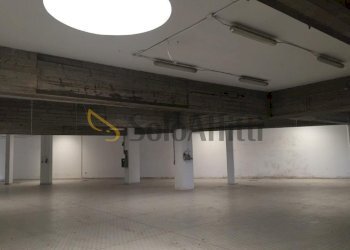 magazzino - Magazzino Strada Cambiano 220, Chieri - foto 1