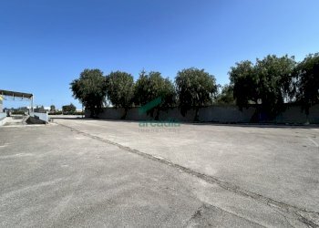 viste - Locale Commerciale SP231 98, Terlizzi - foto 11