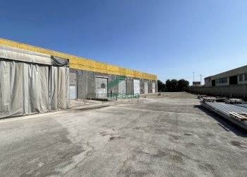 viste - Locale Commerciale SP231 98, Terlizzi - foto 12