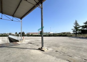 viste - Locale Commerciale SP231 98, Terlizzi - foto 13