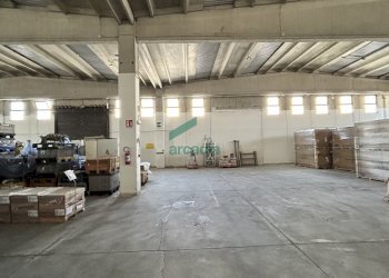 magazzino - Locale Commerciale SP231 98, Terlizzi - foto 15