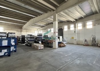 magazzino - Locale Commerciale SP231 98, Terlizzi - foto 16