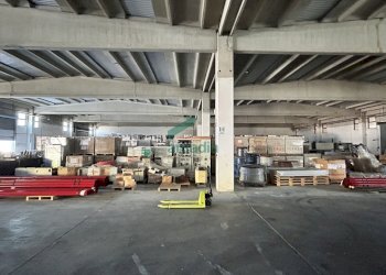 magazzino - Locale Commerciale SP231 98, Terlizzi - foto 17