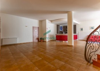 6N7A6006-HDR.jpg - Commercial Premises Strada Vicinale Vecchia di Matera 369, Gioia del Colle - photo 11
