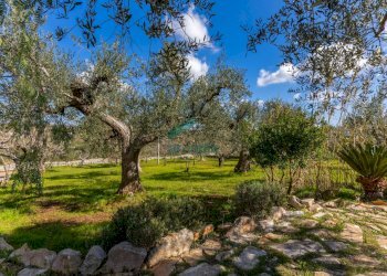 terreno - Villa Strada Comunale della Contrada delle Guadiane 25 A, Castellana Grotte - photo 25