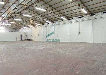 interno - Locale Commerciale S.S. 16 km 810, 800 SN, Triggiano - foto 3