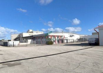 esterno - Locale Commerciale S.S. 16 km 810, 800 SN, Triggiano - foto 26