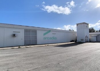 esterno - Locale Commerciale S.S. 16 km 810, 800 SN, Triggiano - foto 27