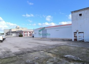 esterno - Locale Commerciale S.S. 16 km 810, 800 SN, Triggiano - foto 28