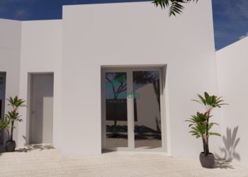 dettagli - Villa SP214 27, Castrignano del Capo - foto 18