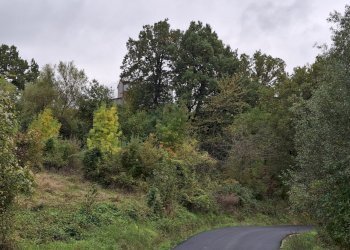 72542c74-8009-43cd-8abe-66b4f7e797b9.JPG - Villa Strada Ugrigno 11, Sant'Agata Feltria - foto 8