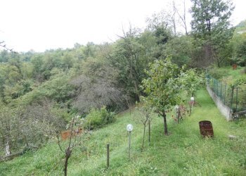 GIARDINO.JPG - Casa indipendente Villaggio Losio 390, Ponzone - foto 15
