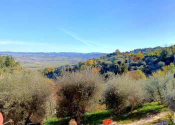 IMG_20241123_104637_edit_194319028318812.jpg - Terratetto - Terracielo Via Moglio 56, Montalcino - foto 21