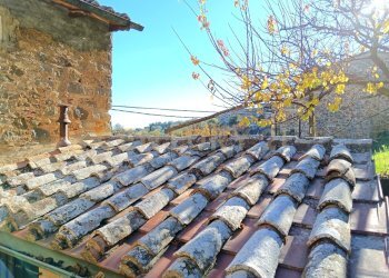 IMG_20241123_104942_edit_194425378675203.jpg - Terratetto - Terracielo Via Moglio 56, Montalcino - foto 25