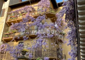 Bilocale Via Villapizzone, 28, Milano - foto 10