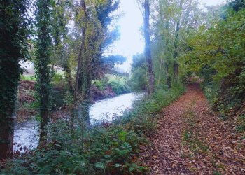 Trilocale via Ponte Accarino, Terni - foto 24