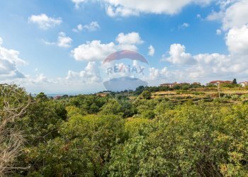 Vista delle montagne - Agricultural land Via Campo sportivo
snc, Camporotondo Etneo - photo 5