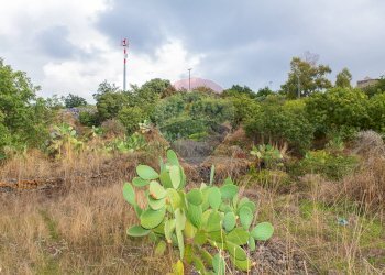 Giardino - Agricultural land Via Campo sportivo
snc, Camporotondo Etneo - photo 6