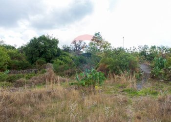 Giardino - Agricultural land Via Campo sportivo
snc, Camporotondo Etneo - photo 8