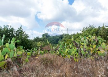 Giardino - Agricultural land Via Campo sportivo
snc, Camporotondo Etneo - photo 9