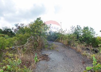 Giardino - Agricultural land Via Campo sportivo
snc, Camporotondo Etneo - photo 10