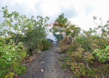 Giardino - Agricultural land Via Campo sportivo
snc, Camporotondo Etneo - photo 11