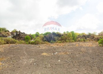 Giardino - Agricultural land Via Campo sportivo
snc, Camporotondo Etneo - photo 14